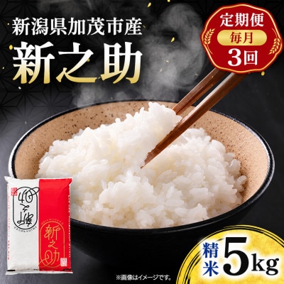 【毎月定期便】新之助　精米5kg　お米全3回