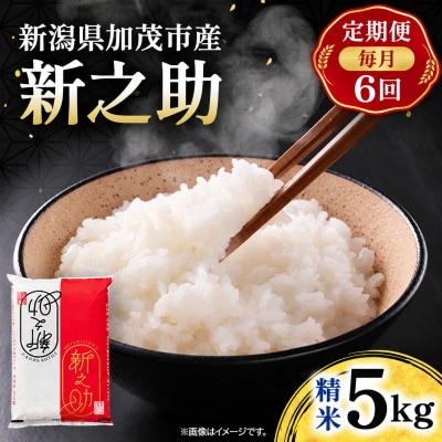 【毎月定期便】新之助　精米5kg　お米全6回