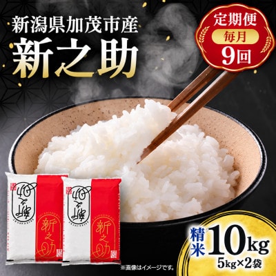【毎月定期便】新之助　精米10kg(5kg×2袋)　お米全9回