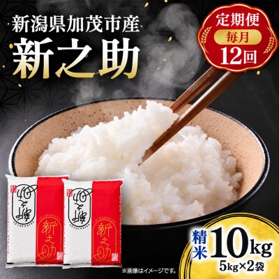 【毎月定期便】新之助　精米10kg(5kg×2袋)　お米全12回