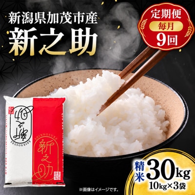 【毎月定期便】新之助　精米30kg(10kg×3袋)　お米全9回