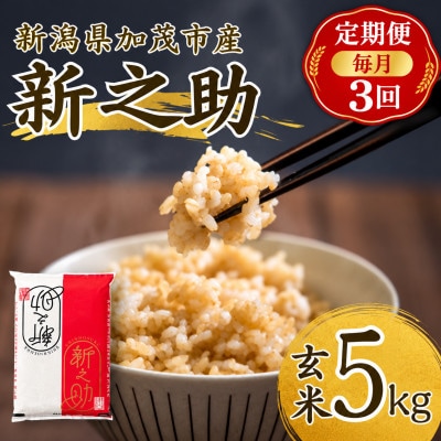 【毎月定期便】新之助　玄米5kg　お米全3回