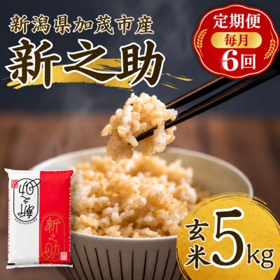 【毎月定期便】新之助　玄米5kg　お米全6回