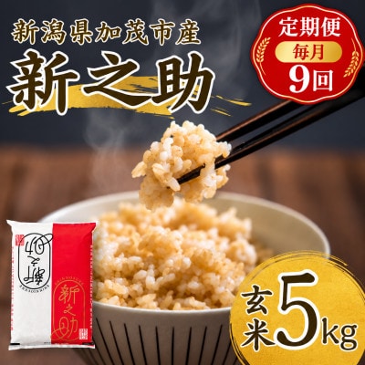 【毎月定期便】新之助　玄米5kg　お米全9回