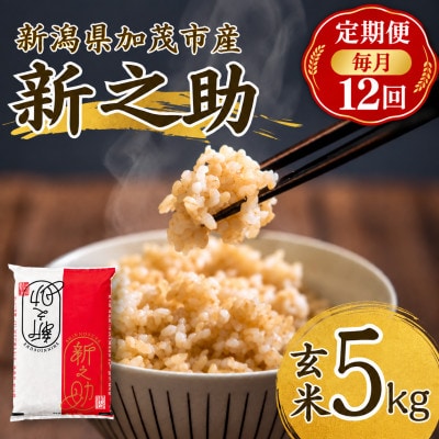 【毎月定期便】新之助　玄米5kg　お米全12回