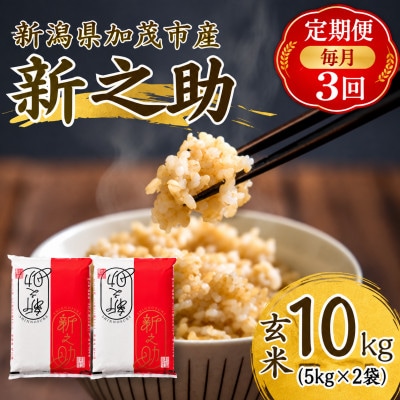 【毎月定期便】新之助　玄米10kg (5kg×2袋)　お米全3回