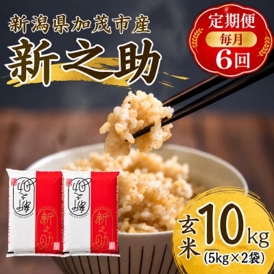 【毎月定期便】新之助　玄米10kg (5kg×2袋)　お米全6回