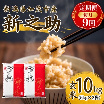 【毎月定期便】新之助　玄米10kg (5kg×2袋)　お米全9回