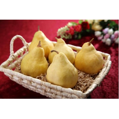【贈答用】西洋梨 ル・レクチェ 4kg(9～12玉)《12月上旬～順次発送》新潟県加茂市 樋口農園