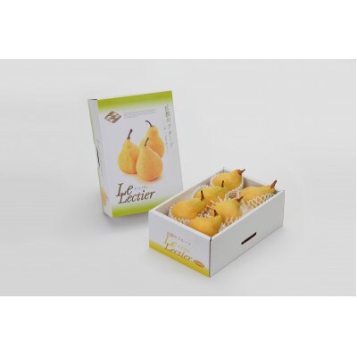 【家庭用】西洋梨 ル・レクチェ 2kg(5～7玉)《12月上旬～順次発送》新潟県加茂市 樋口農園