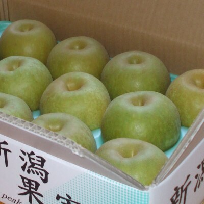 【贈答用】日本梨幸水3kg(6～9玉)《8月中旬～順次発送》新潟県加茂市 樋口農園