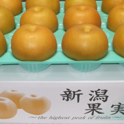 【贈答用】日本梨豊水3kg(6～9玉)《9月上旬～順次発送》新潟県加茂市 樋口農園