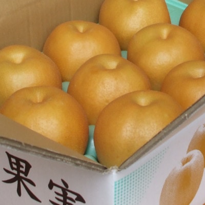 【贈答用】日本梨あきづき 3kg(5～9玉)《9月中旬～順次出荷》新潟県加茂市 樋口農園