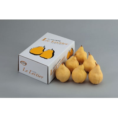 【2026年先行予約】【家庭用】西洋梨 ル・レクチェ 約2kg(5～7玉)