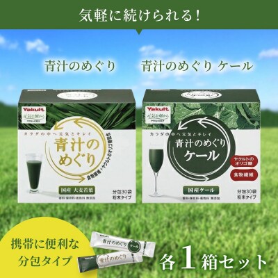 青汁のめぐり 60袋 ヤクルト 恥ずかしく 6箱セット