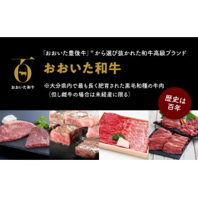 【スピード発送】 おおいた和牛 肩ロースすき焼き用 (500g) すき焼き 黒毛和牛 牛肉 肉