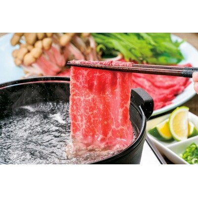 【スピード発送】 しゃぶしゃぶ 食べ比べセット (合計500g) 豊後・米仕上牛 【豊後高田市限定】