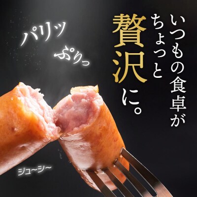 こだわりのジューシーあらびきウインナー(4~5人前)【豊後高田昭和の町のお肉屋さん】