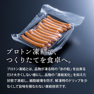 こだわりのジューシーあらびきウインナー(4~5人前)【豊後高田昭和の町のお肉屋さん】