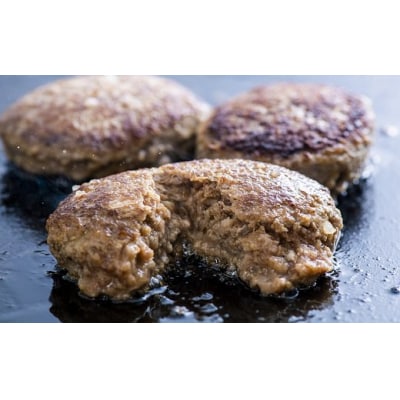 おおいた豊後牛100%手作りハンバーグ(約100g×9個) ハンバーグ 黒毛和牛 惣菜 はんばーぐ