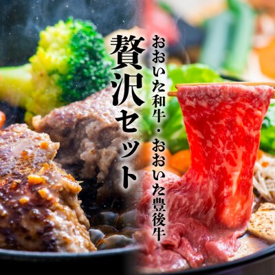 【スピード発送】 おおいた和牛 モモ・ロースすき焼き肉 (500g)&豊後牛ハンバーグ(9個)セット