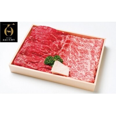 おおいた和牛 モモ・ロースすき焼き肉 (500g)&豊後牛ハンバーグ(9個)セット