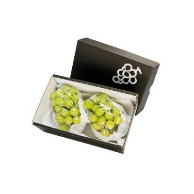 特選シャインマスカット2房入(1kg以上)