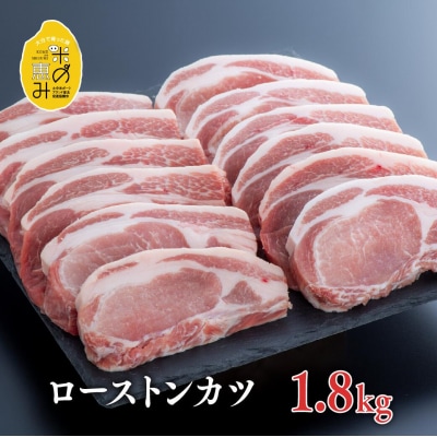 【スピード発送】 豚肉 中川さんちの米の恵み豚ローストンカツ (150g×12枚) とんかつ ロース