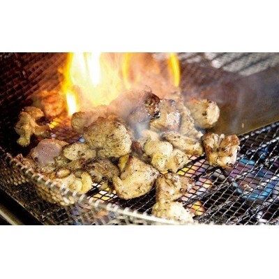 おおいた冠地どり正肉セット