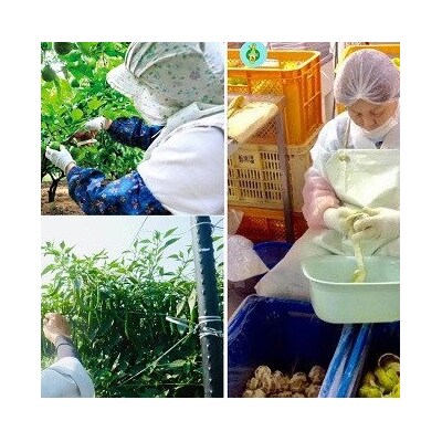 新感覚辛味調味料「かぼすこ」(4本セット)