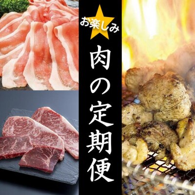 【牛・豚・鶏】お楽しみ肉の定期便 年3回