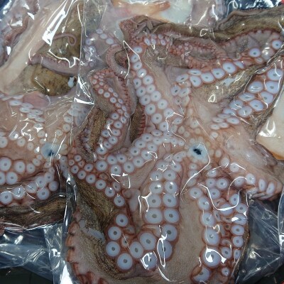 船上活締め!!生真ダコ丸ごと(1~4匹)【下処理済】