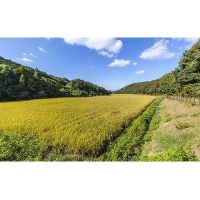 大分の山と谷が育てたお米3点セット(精米・玄米・もち米)