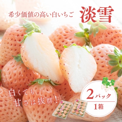 【先行受付】白いちご「淡雪」・2パック入×1箱