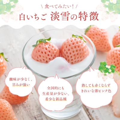 いちご 【先行受付】白いちご「淡雪」・2パック入×1箱