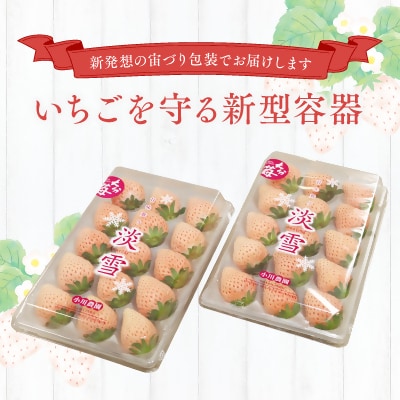 【先行受付】白いちご「淡雪」・2パック入×1箱