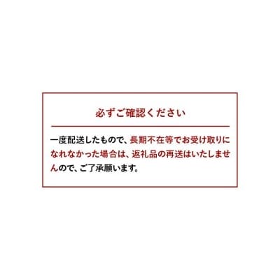 いちご 【先行受付】白いちご「淡雪」・2パック入×1箱