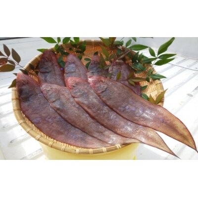 赤舌平目　1kg(下処理済)