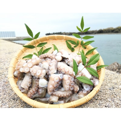 修福丸ん　岬たこ　生たこぶつ切り食べきりサイズ(200g×5袋)