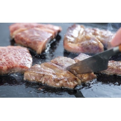 黒毛和牛 ステーキ リブロース・ミニステーキ(2枚/約600g) おおいた和牛 牛