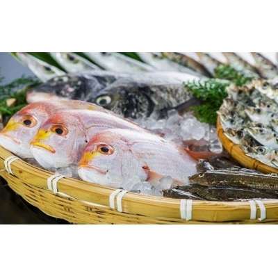 獲れたら発送!地魚セット