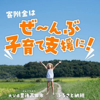 マクラメプラントハンガー(シングル)