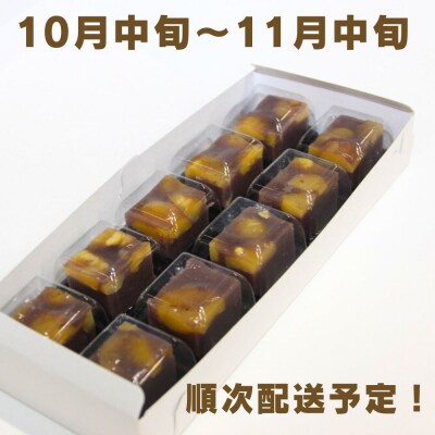 栗むし羊かん(10個入)【冷凍】