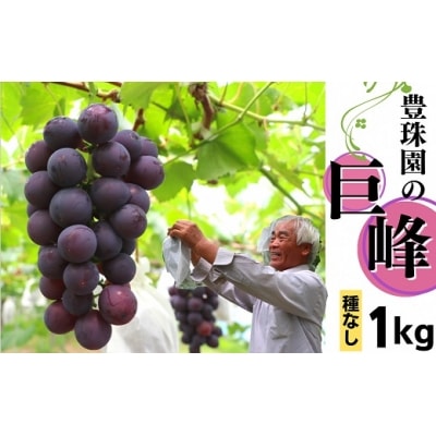 豊珠園の巨峰(種なし)1kg