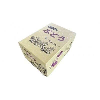 豊珠園の巨峰(種なし)1kg