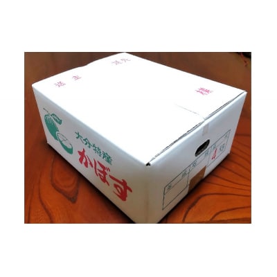 【先行受付】かぼす (4kg)