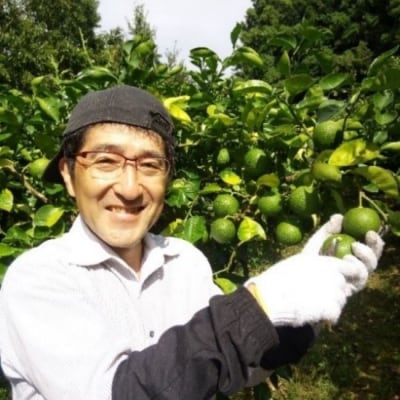 【先行受付】かぼす (4kg)