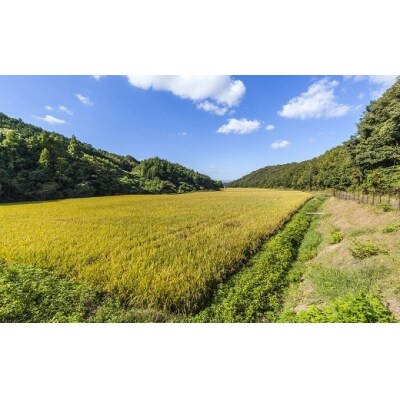 大分の山と谷が育てたヒノヒカリ(玄米・5kg)