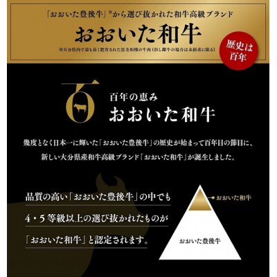 おおいた和牛 肩ロース すき焼き用 500g×2セット 黒毛和牛 すき焼き 牛 肉 【スピード発送】