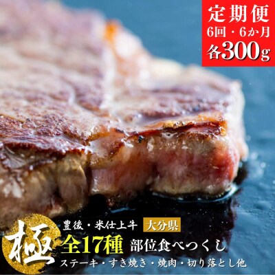 【定期便】 豊後・米仕上牛 部位 17種類 食べつくし 6か月 6kg【極】